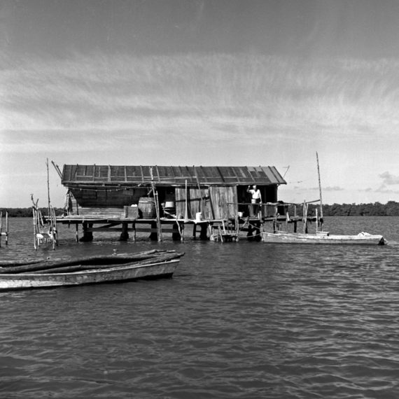 Harrison Woodring’s Fish House