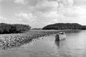 Oyster Bed