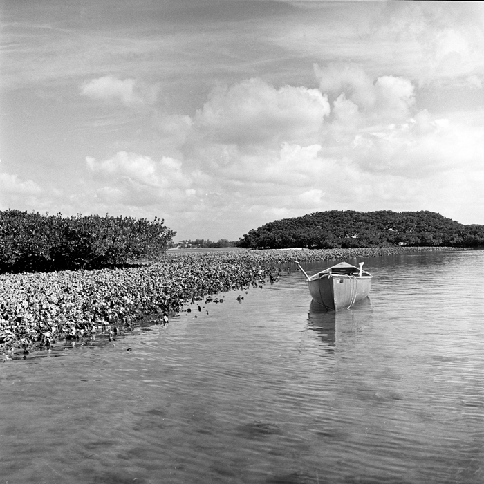 Oyster Bed