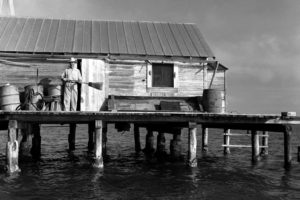 Bill Stevens Fish House