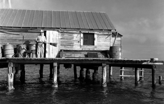 Bill Stevens Fish House