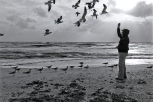 Feeding the Flock