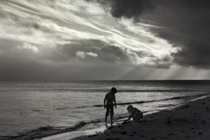 Gift of the Sea