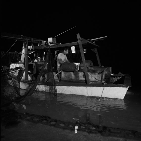 In the Dark