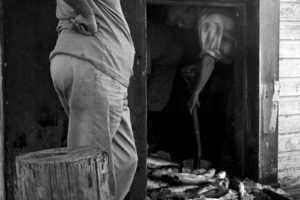 Loading Fish