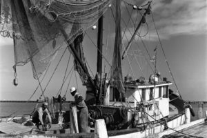 Shrimp Boat